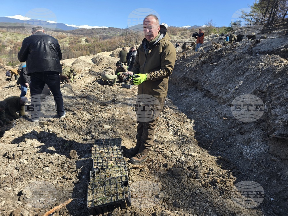 Село Илинденци - община Струмяни - залесяване