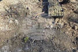 Село Илинденци - община Струмяни - залесяване