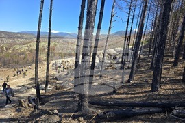 Село Илинденци - община Струмяни - залесяване