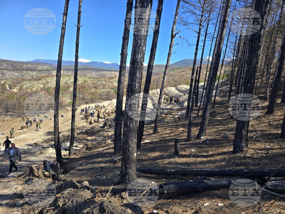 Село Илинденци - община Струмяни - залесяване
