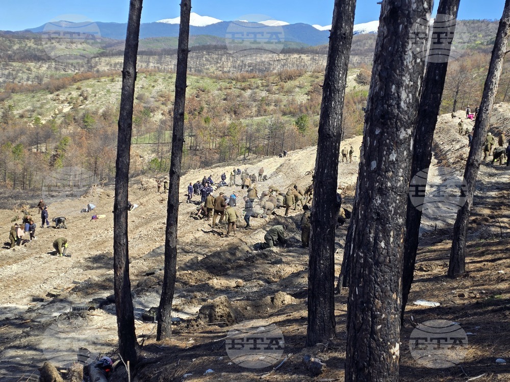 Село Илинденци - община Струмяни - залесяване