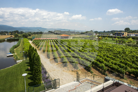 Гоце Делчев - „Ува Нестум“ - СПА