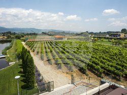 Гоце Делчев - „Ува Нестум“ - СПА