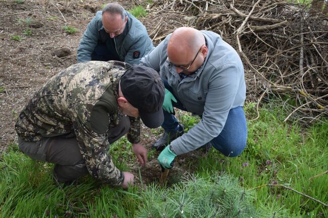 Ръководството на Община Разград и общински съветници се включиха в залесителна акция по повод Седмицата на гората