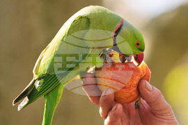 APTOPIX Britain Weather