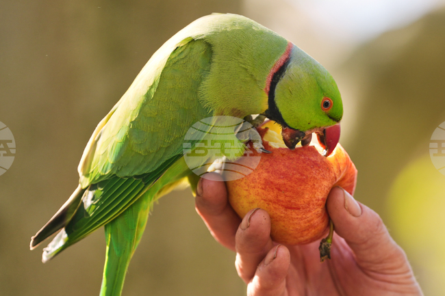 APTOPIX Britain Weather