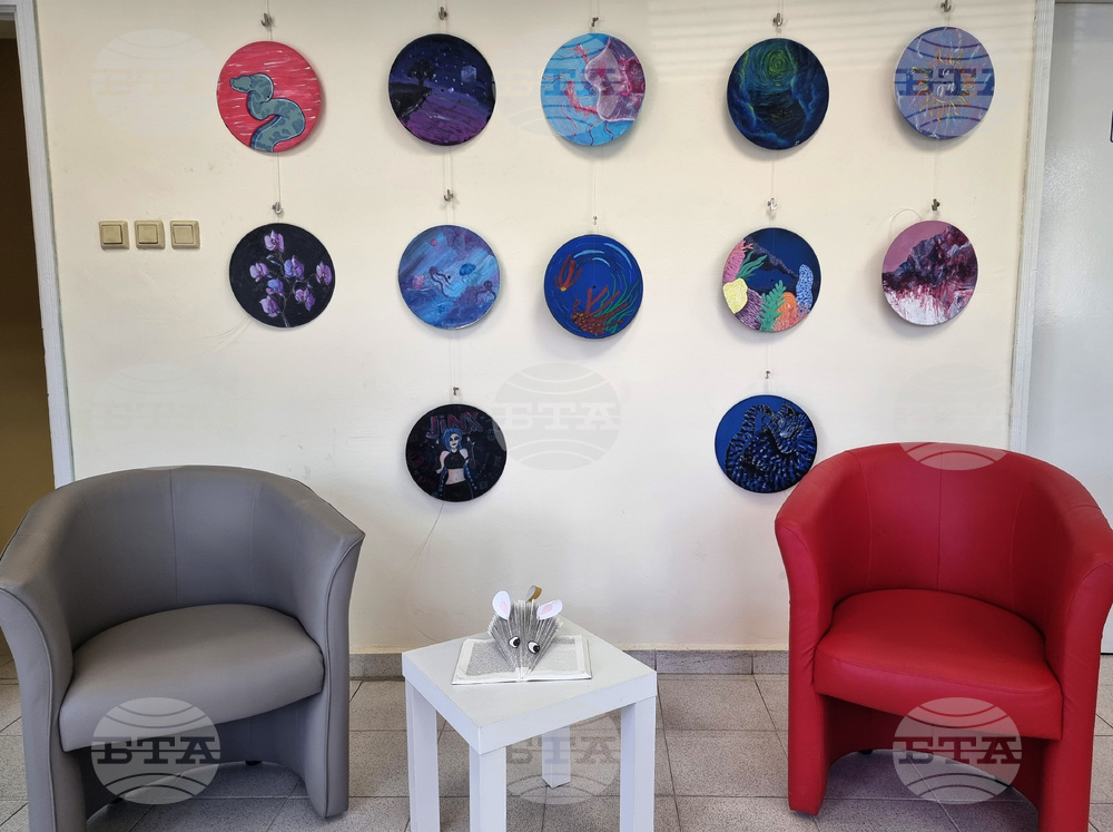 Варна - „Винилови фантазии“ - изложба