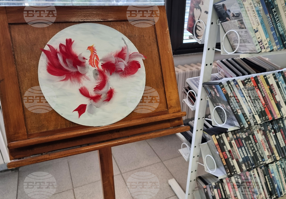 Варна - „Винилови фантазии“ - изложба