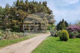 Варна - Университетска ботаническа градина - цветя