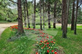 Варна - Университетска ботаническа градина - цветя