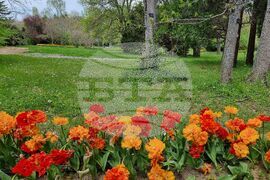 Варна - Университетска ботаническа градина - цветя