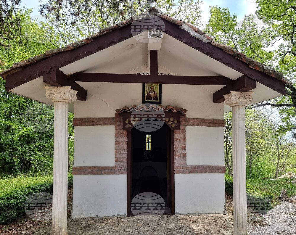 Варна - Университетска ботаническа градина - цветя