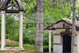 Варна - Университетска ботаническа градина - цветя