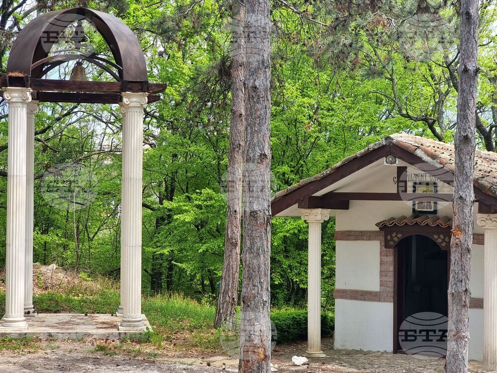 Варна - Университетска ботаническа градина - цветя