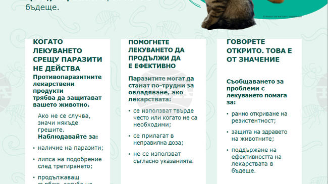БВС: Европейски организации призовават за отговорна употреба на противопаразитните лекарствени продукти при животните