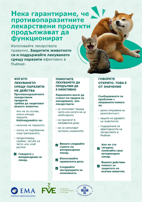 БВС: Европейски организации призовават за отговорна употреба на противопаразитните лекарствени продукти при животните