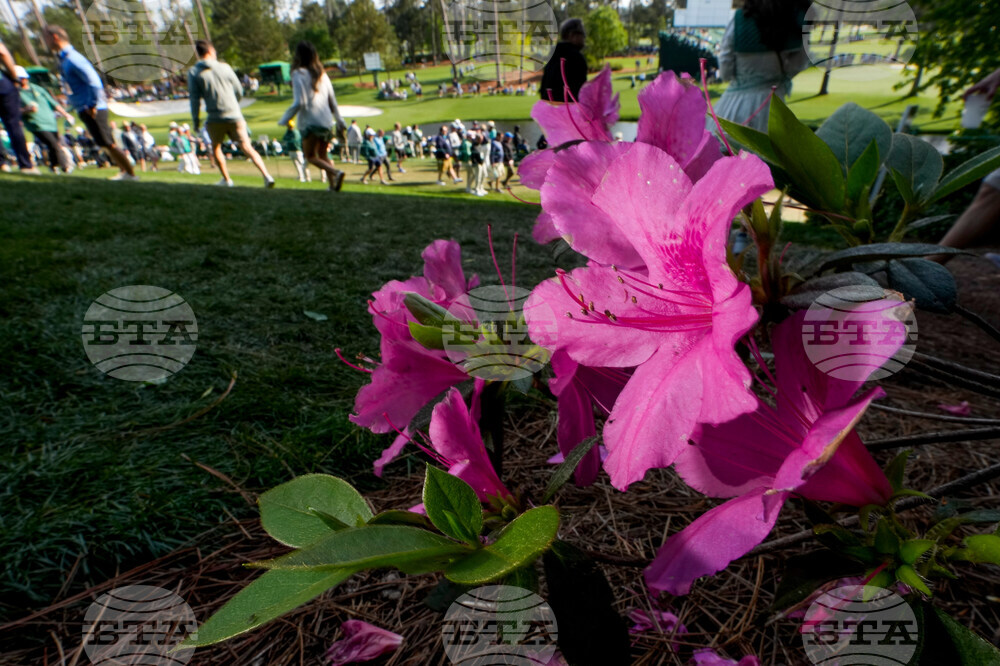 Masters Flowers Golf