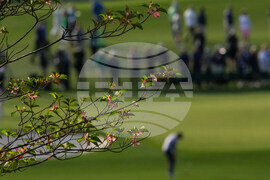 Masters FlowersGolf