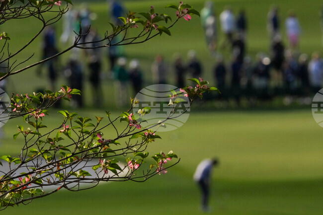 Masters FlowersGolf