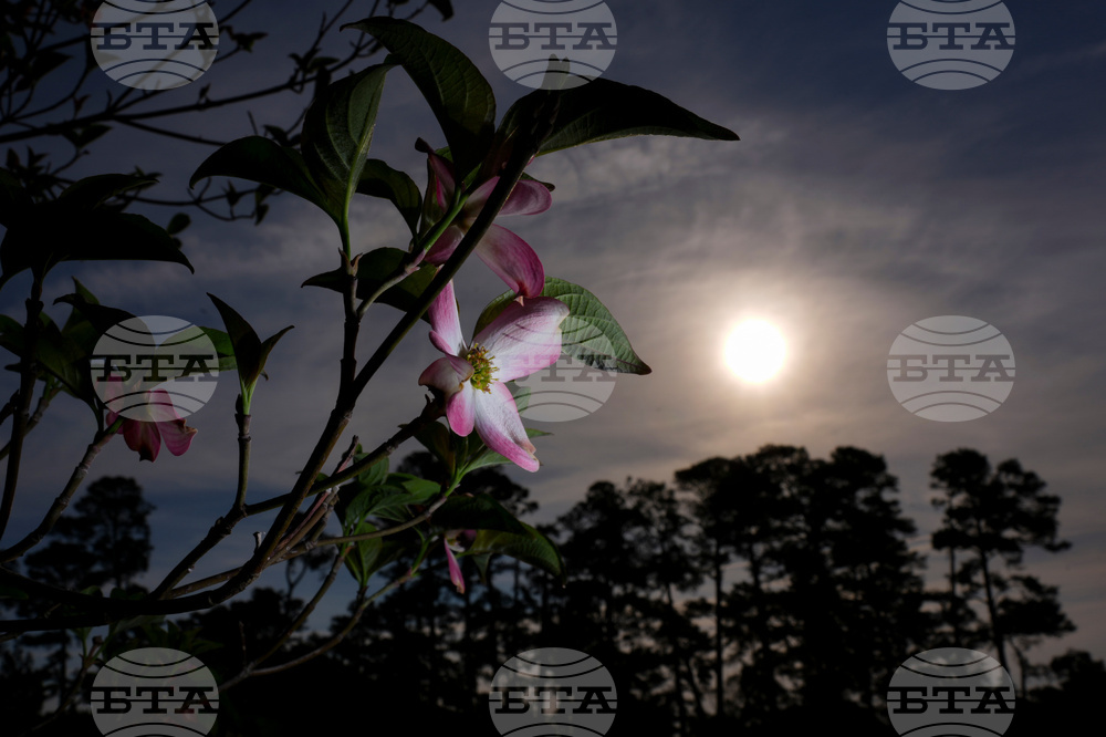 Masters Flowers Golf