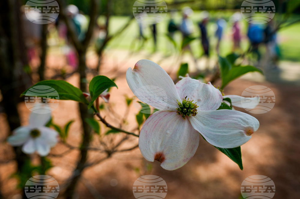 Masters Flowers Golf