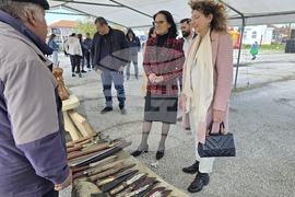 Левски - празник - роми