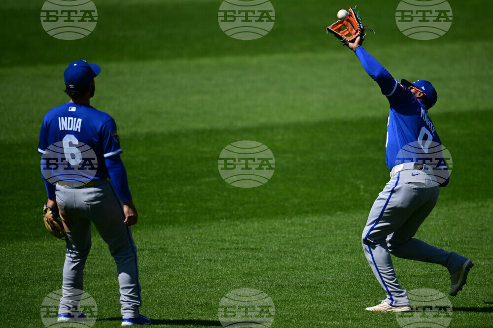 Royals Guardians Baseball