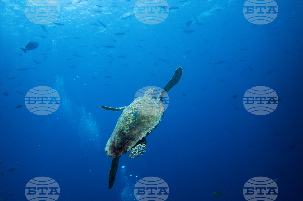 Climate Indonesia Mining