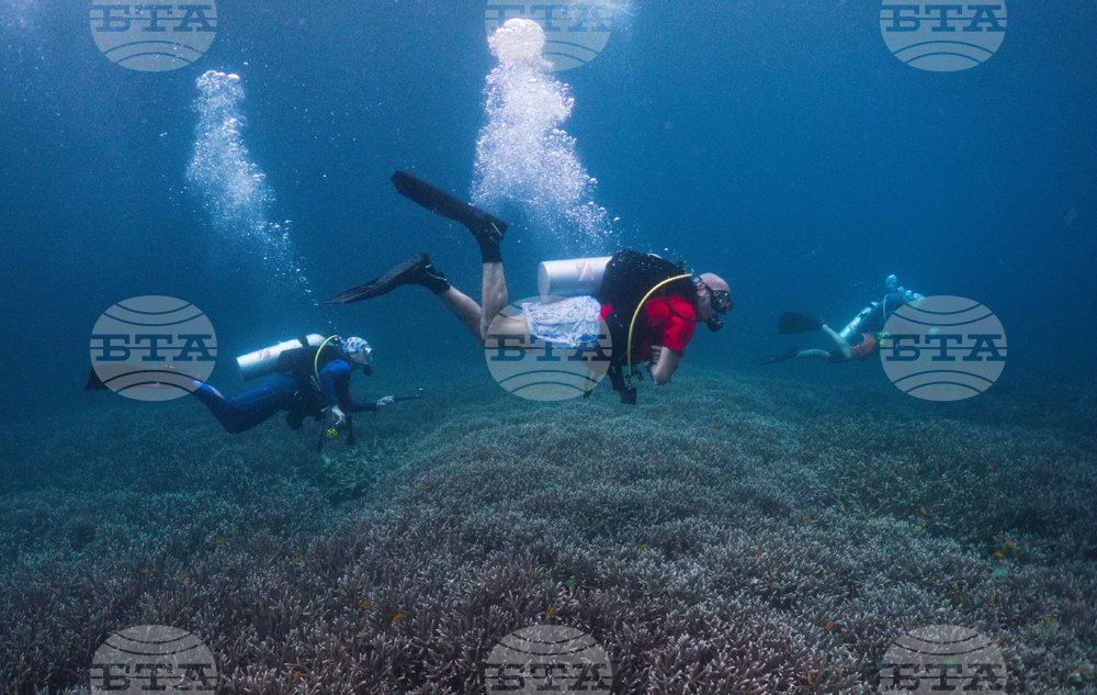 Climate Indonesia Mining