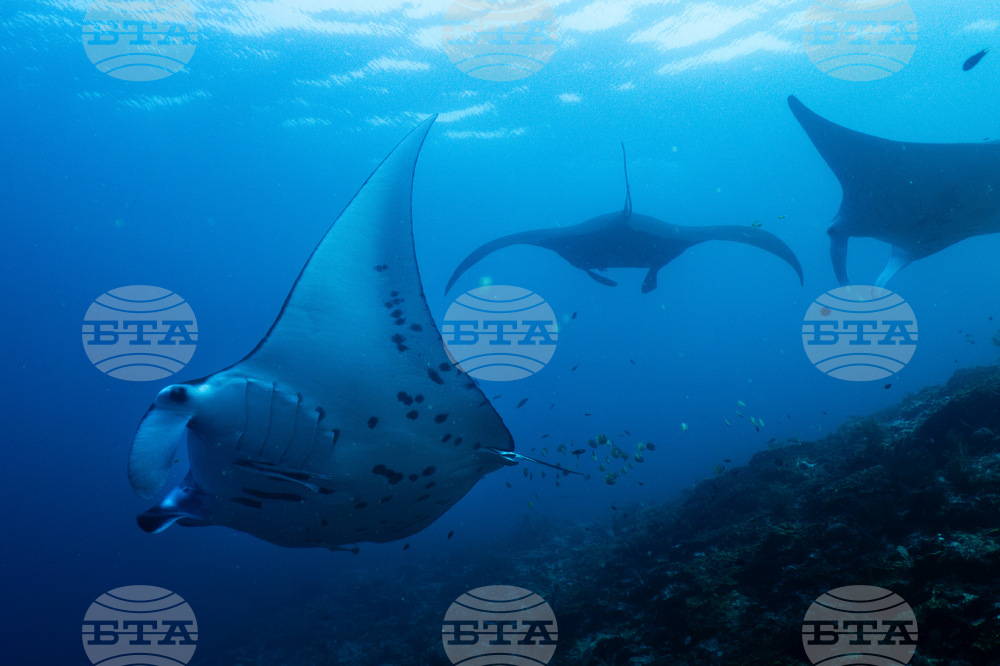 Climate Indonesia Mining