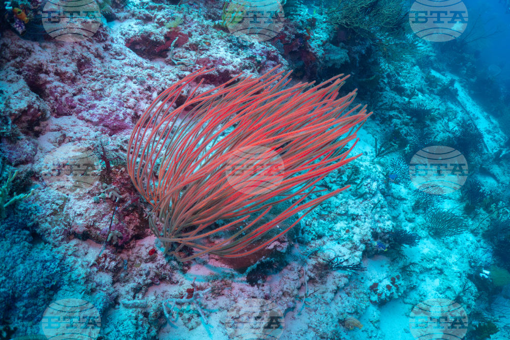 Climate Indonesia Mining