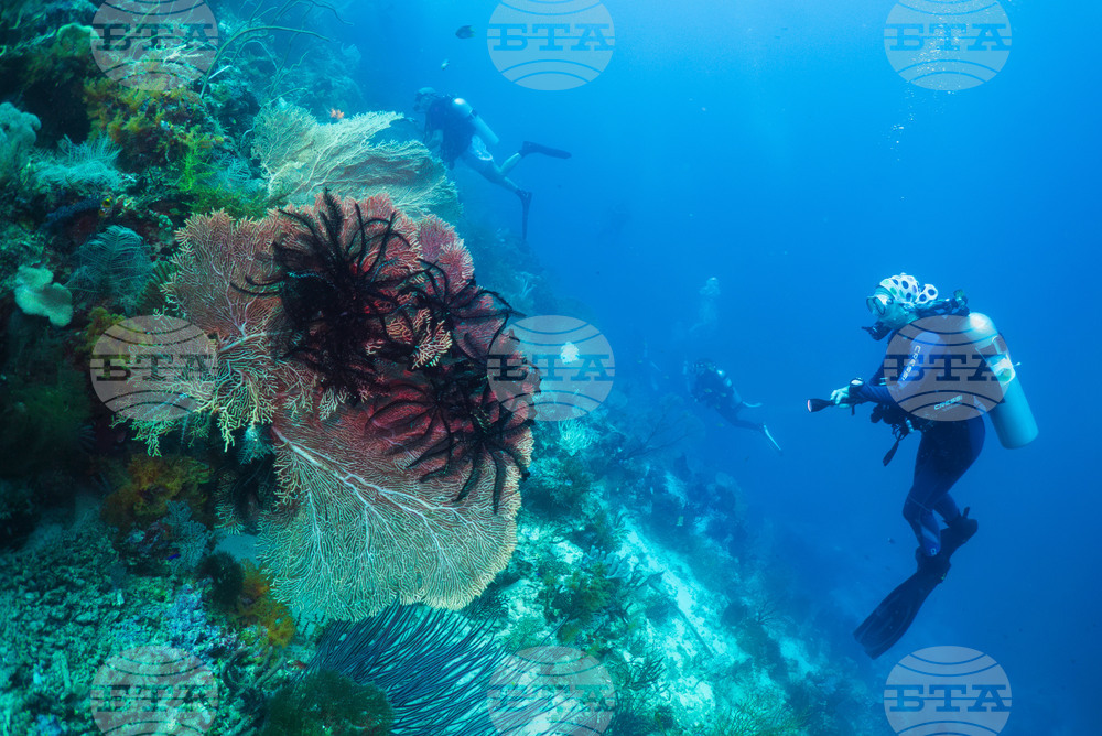 Climate Indonesia Mining