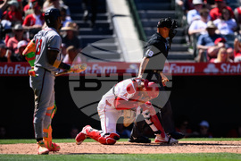 Braves Angels Baseball