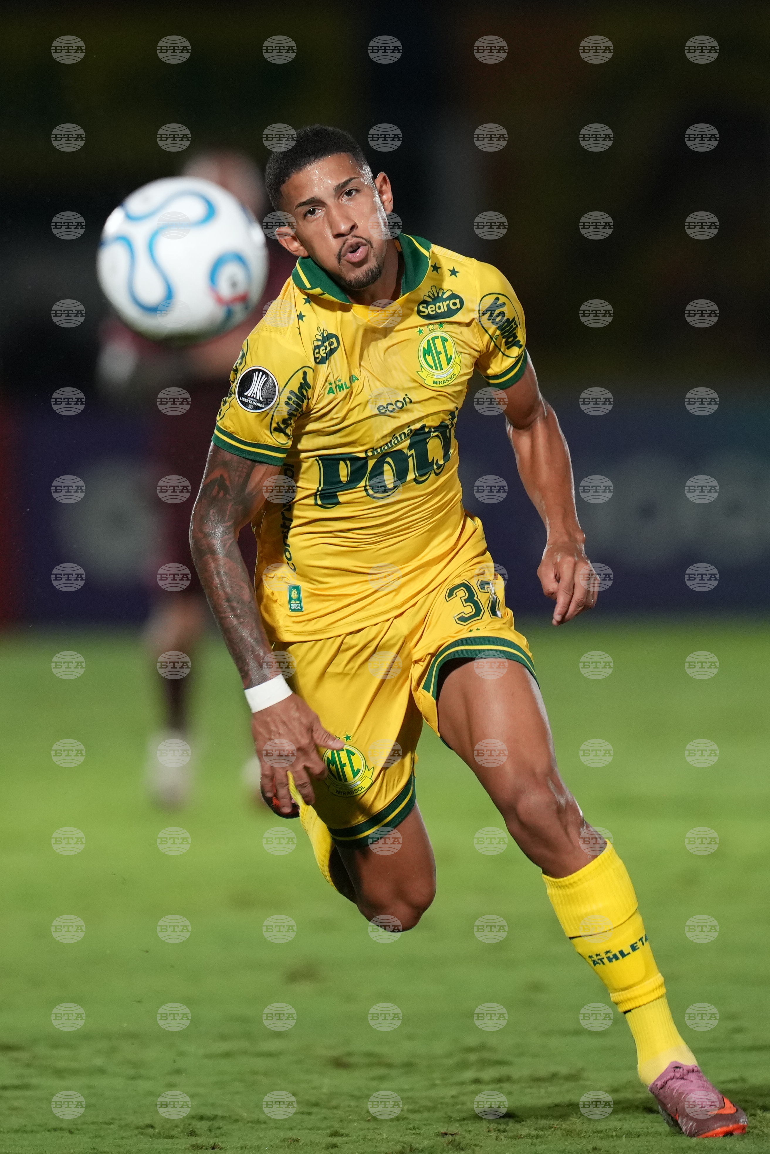 Brazil Argentina Copa Libertadores Soccer