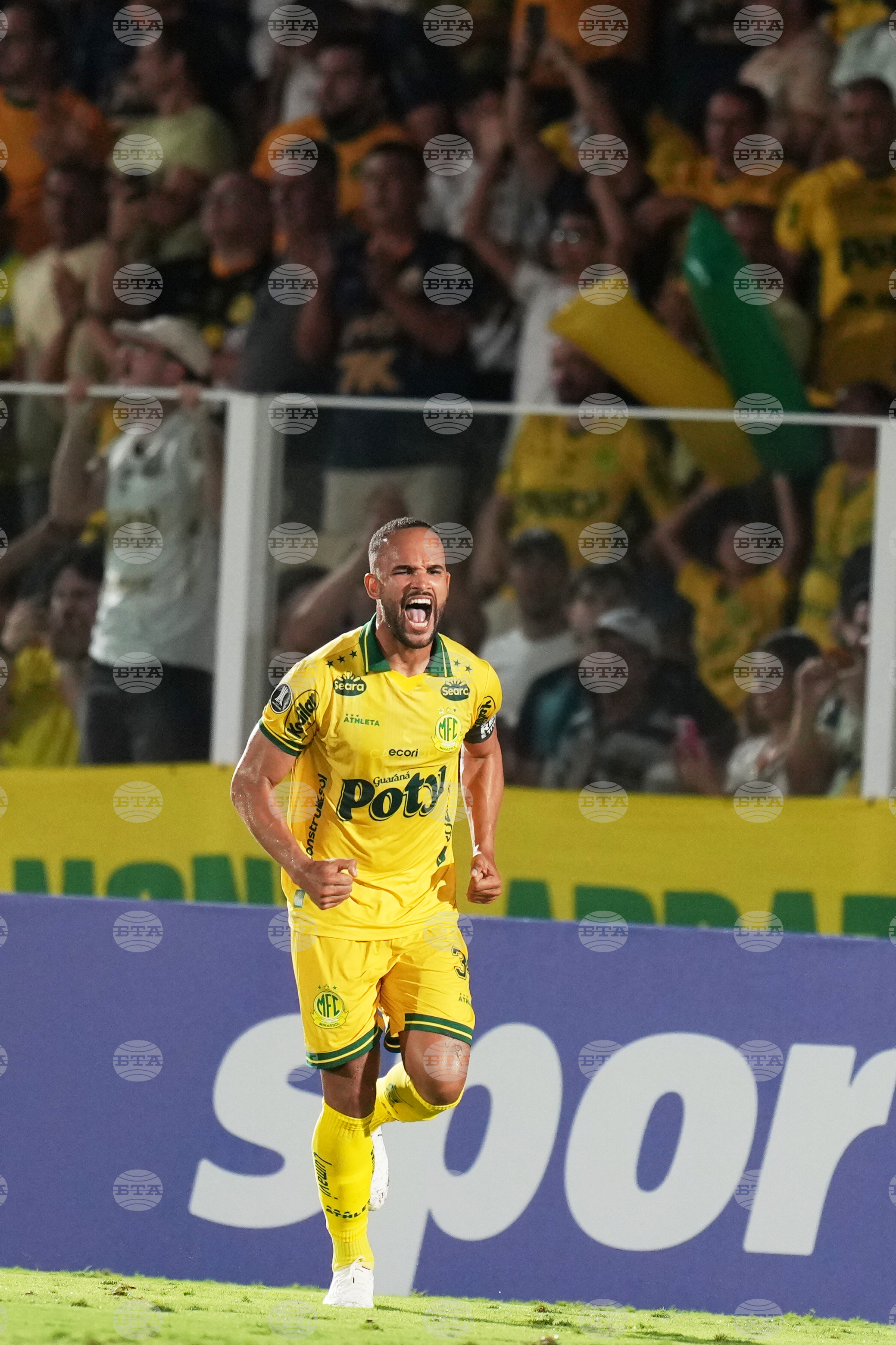 Brazil Argentina Copa Libertadores Soccer