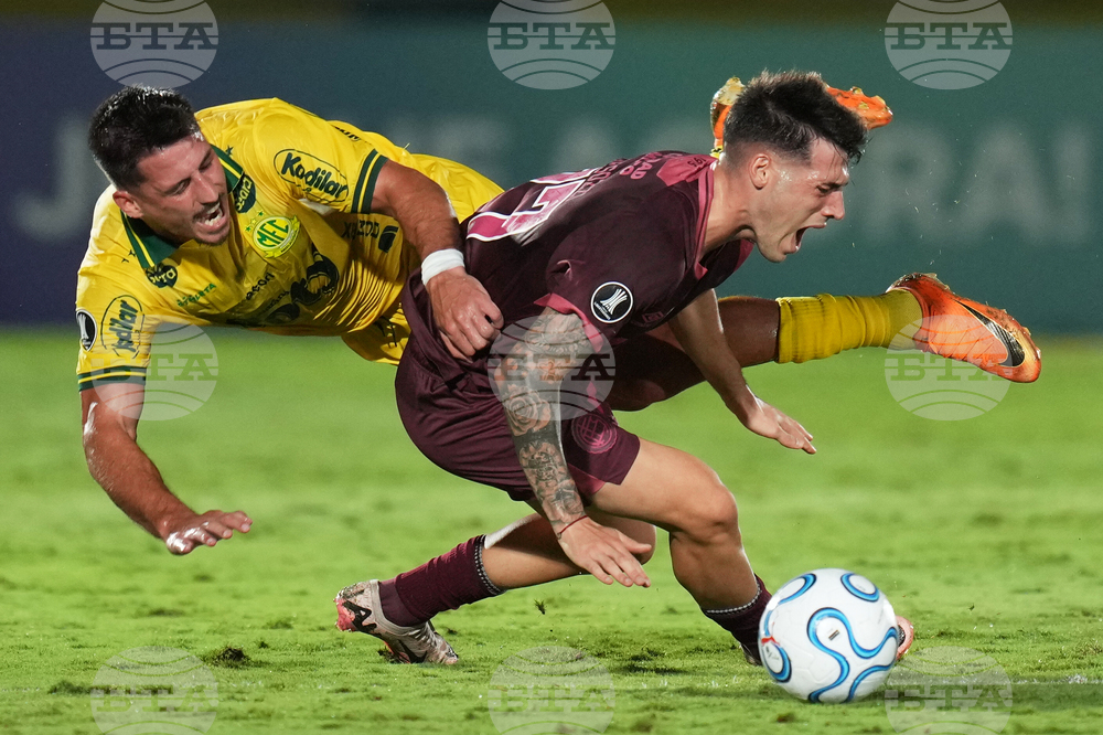 Brazil Argentina Copa Libertadores Soccer