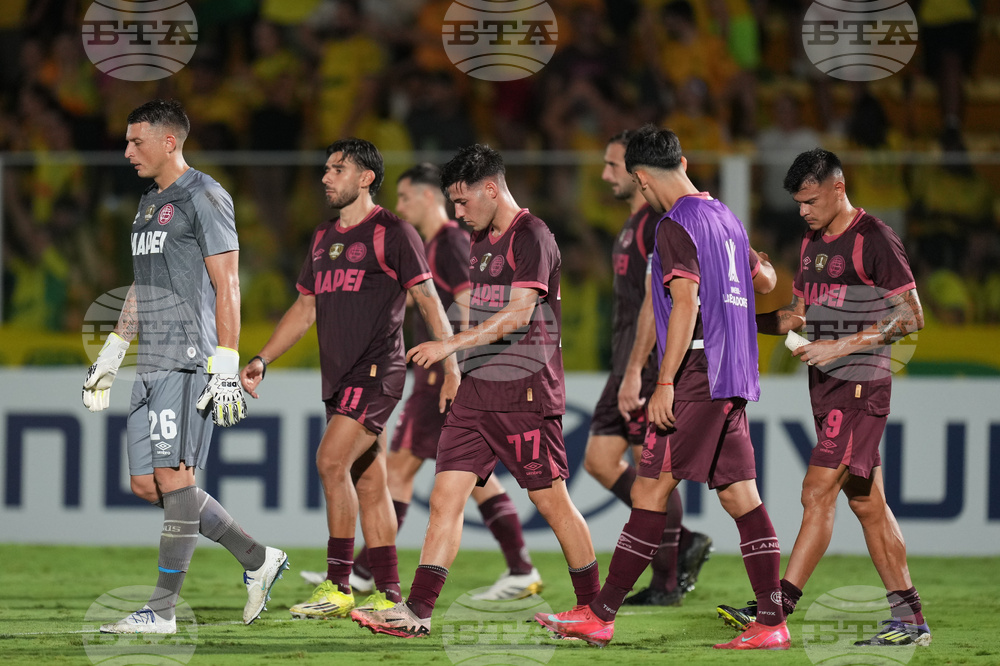 Brazil Argentina Copa Libertadores Soccer