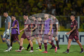 Brazil Argentina Copa Libertadores Soccer
