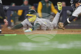 Athletics Yankees Baseball