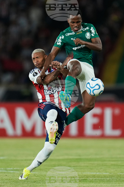 Colombia Brazil Copa Libertadores Soccer