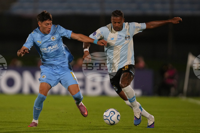 Uruguay Brazil Copa Sudamericana Soccer