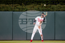Tigers Twins Baseball