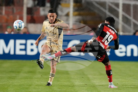 Peru Brazil Copa Libertadores Soccer