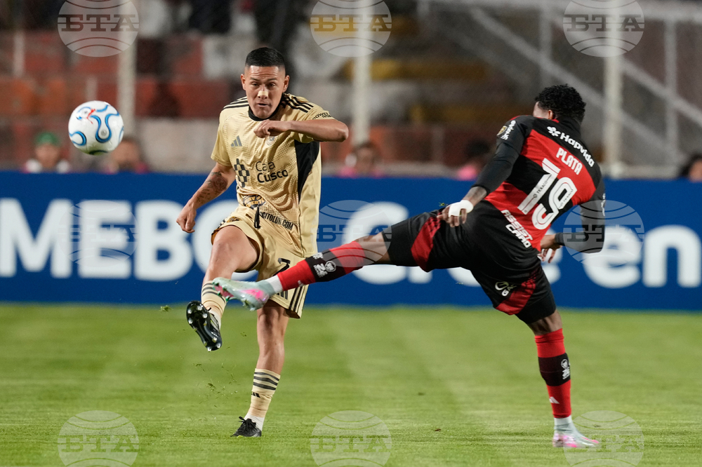 Peru Brazil Copa Libertadores Soccer