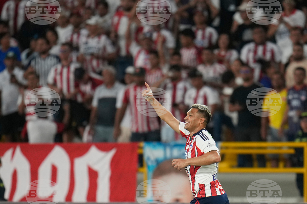 Colombia Brazil Copa Libertadores Soccer