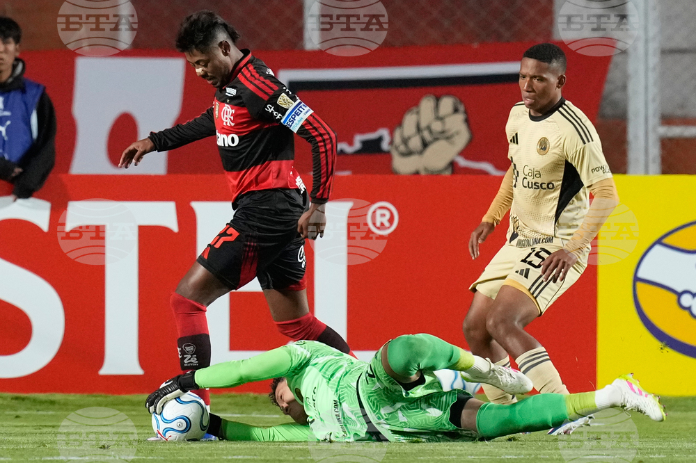Peru Brazil Copa Libertadores Soccer