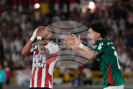 Colombia Brazil Copa Libertadores Soccer