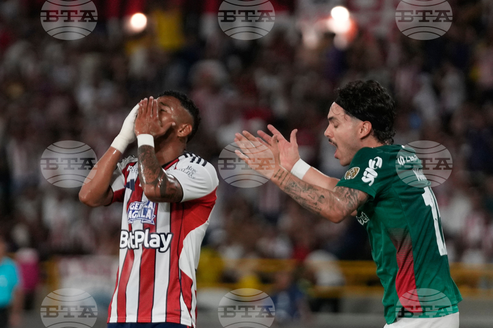 Colombia Brazil Copa Libertadores Soccer