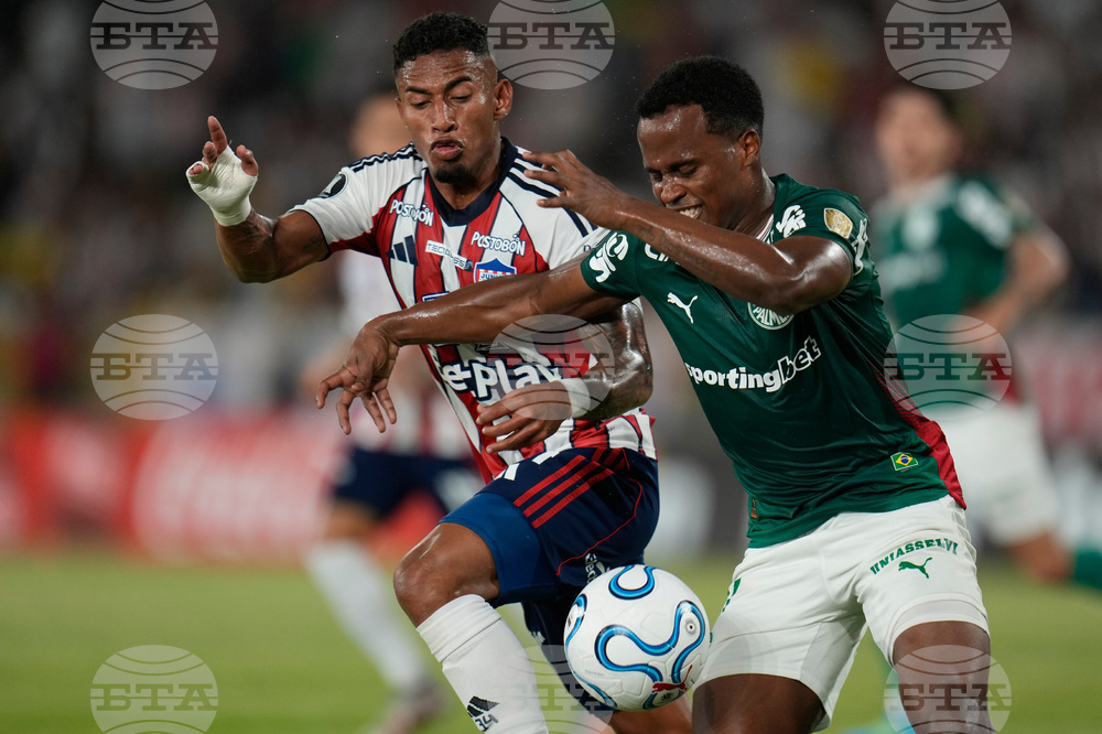 Colombia Brazil Copa Libertadores Soccer