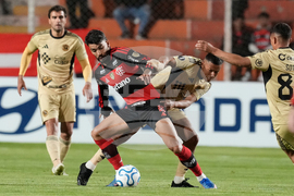 Peru Brazil Copa Libertadores Soccer